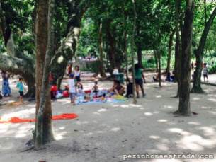 Famílias fazendo piquenique no Parque Lage